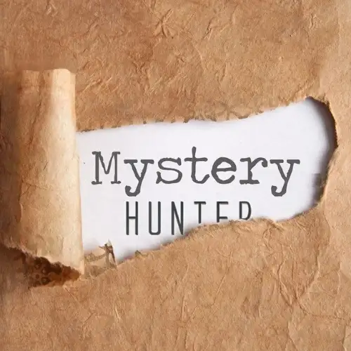 Mystery Hunters