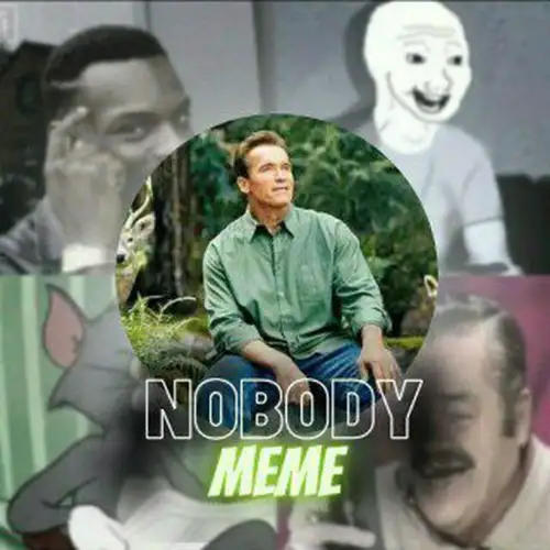 Nobody Meme 