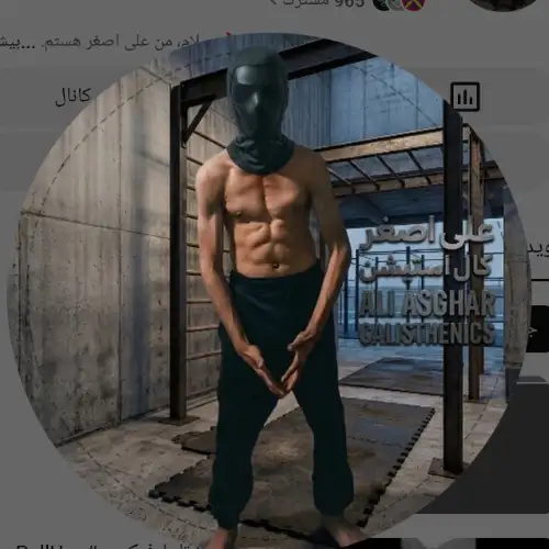 AliAsghar_Calisthenics