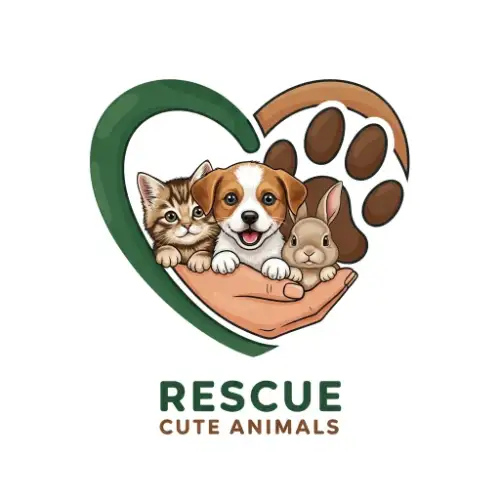 Rescue cute animals