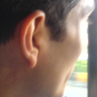 ورگ، زبان و ادبیات گیلکی