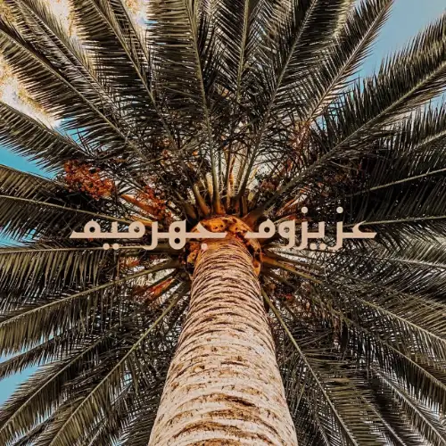 عزیزوم جهرمیُم