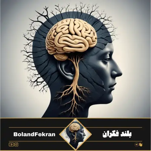 بلند فکران | BolandFekran